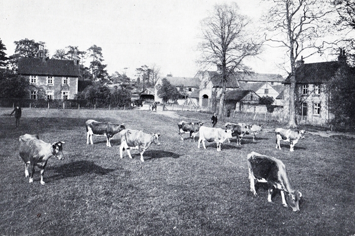 Sondes Place Farm 1921